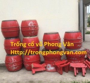 trong co vu