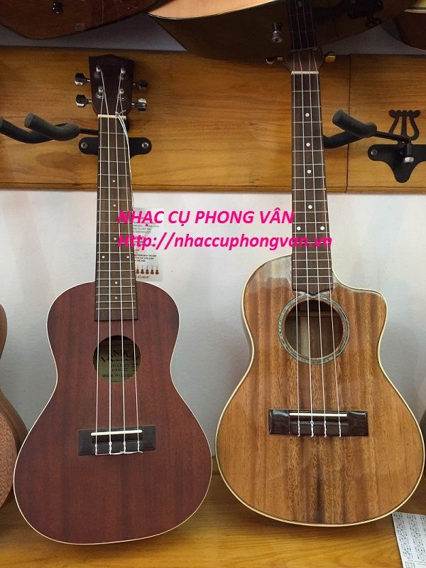 Bán đàn Ukulele giá rẻ Hn, tphcm,Sell Ukulele cheap price at Ha noi,mua