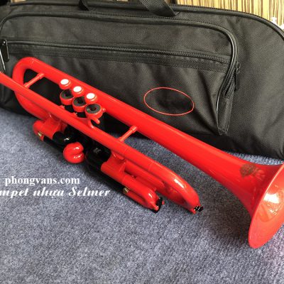 Kèn trumpet nhựa kèn trombone plastic trường Quốc tế