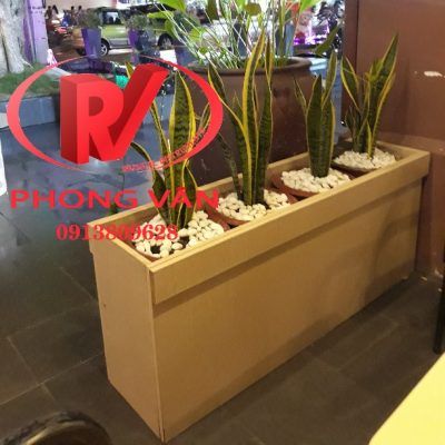 Chậu thùng gỗ trồng cây hình chữ nhật tại quán cà phê