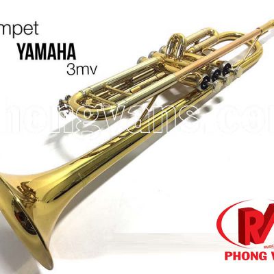 Kèn Trumpet Yamaha 3 màu loa vàng
