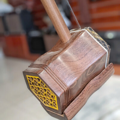 Đàn Nhị Trung Quốc Erhu Mẫu Đẹp