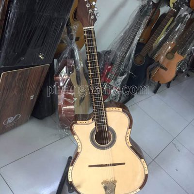 Mua đàn guitar ở đâu Tp.HCM?