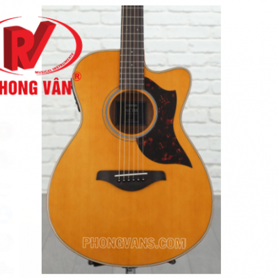 Đàn guitar acoustic giá rẻ TPHCM