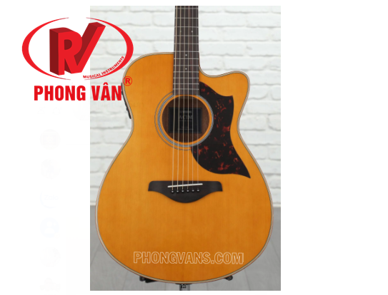 Đàn guitar acoustic giá rẻ TPHCM