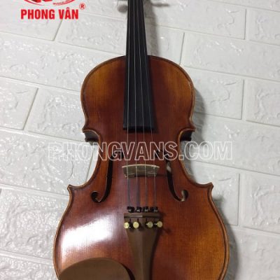 Cho Thuê Đàn Violin Tại Tphcm
