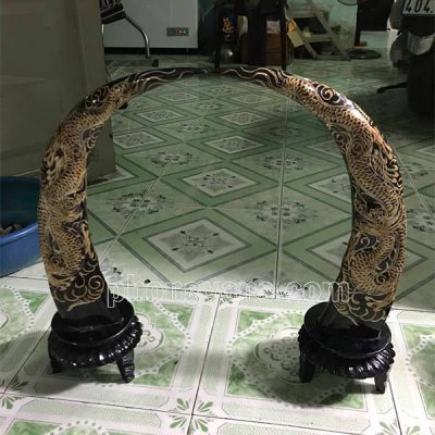 Cặp sừng trâu nước trạm rồng trang trí
