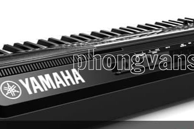 Đàn organ YAMAHA PSR-SX900