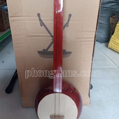 Đàn tính tẩu 2 dây