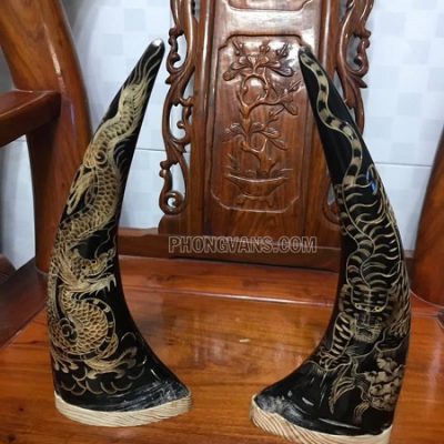 Cặp sừng trâu phong thuỷ trạm rồng