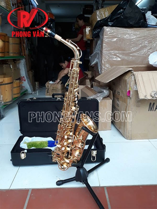 Kèn saxophone cho người mới tập