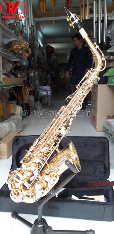 Bán kèn saxophone Hà Nội