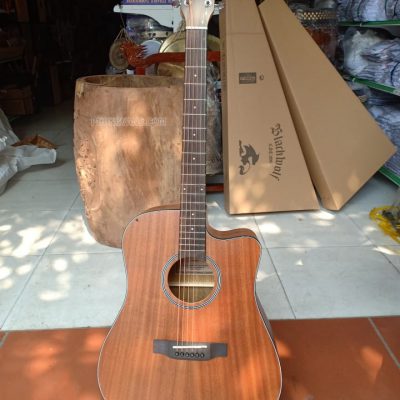 Đàn guitar Yamaha F3000