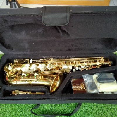 Kèn saxophone alto Victoria VAS-568EX màu vàng
