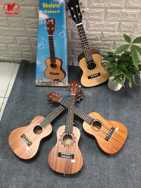 Đàn ukulele size 23 gỗ mahogany