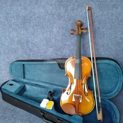 Mua sỉ đàn violin gỗ giá rẻ nhất