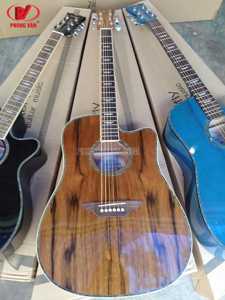 Bán sỉ buôn đàn guitar acoustic Jade Butterfly JD-218C