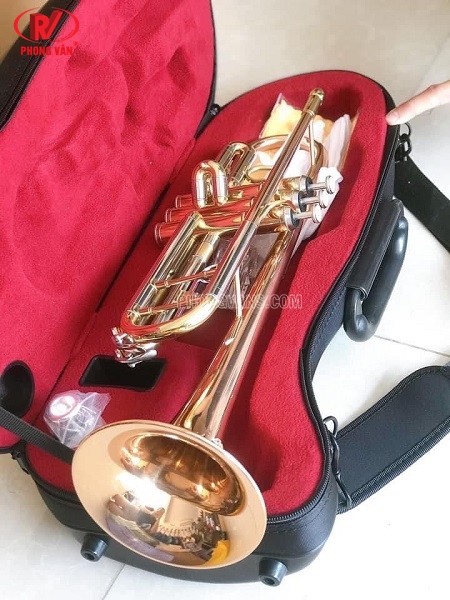 Bán sỉ kèn trumpet 3 màu hãng Selmer TR711