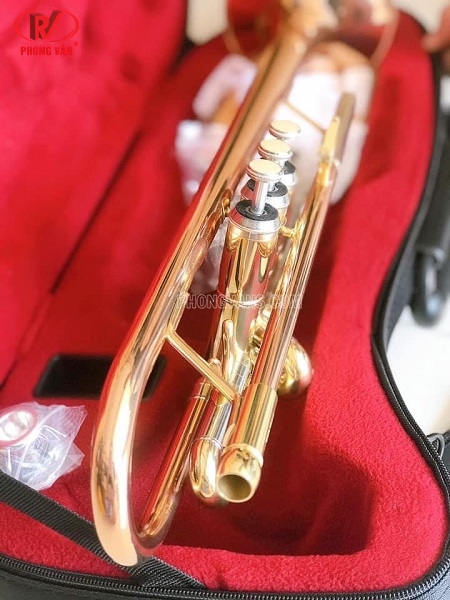 Bán sỉ kèn trumpet 3 màu hãng Selmer TR711