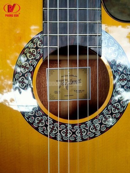 Bán sỉ lẻ đàn guitar classic Tagima cutaway giá rẻ