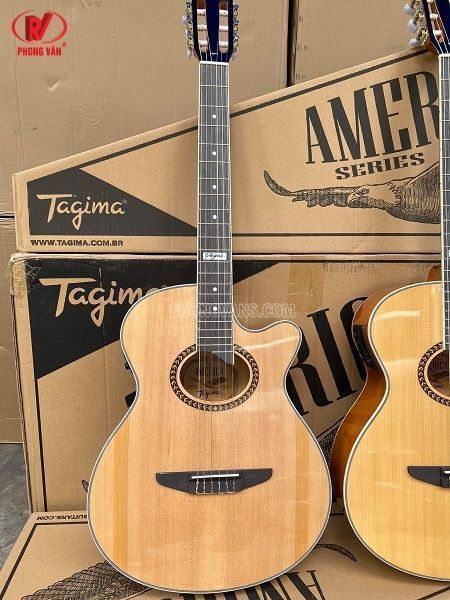 Bán sỉ lẻ đàn guitar classic Tagima EQ