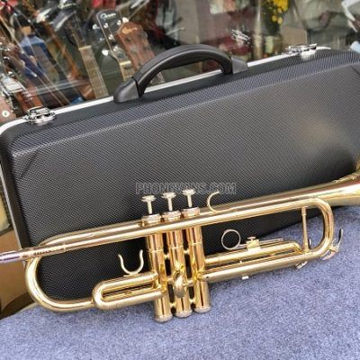 Bán sỉ lẻ kèn Trumpet hãng HTmusic màu vàng HTR-628