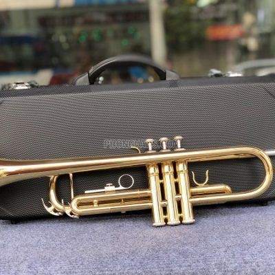 Bán sỉ lẻ kèn Trumpet hãng HTmusic màu vàng HTR-628data-cloudzoom = 