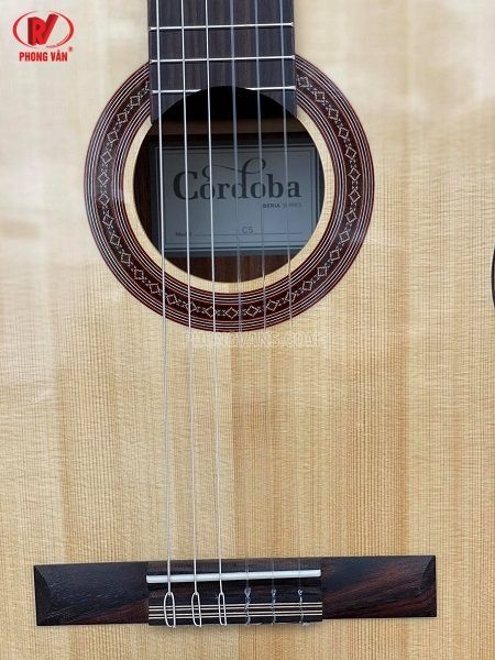Đàn guitar classic Cordoba C5sp cao cấp