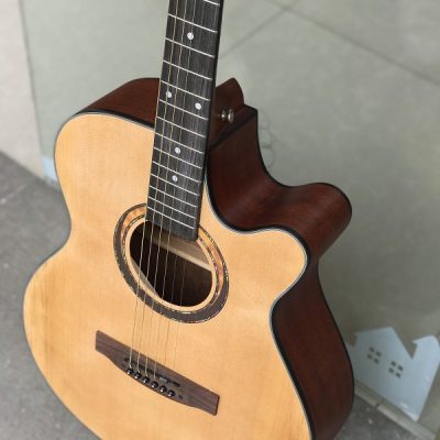 Đàn guitar acoustic Swift Horse BL281C