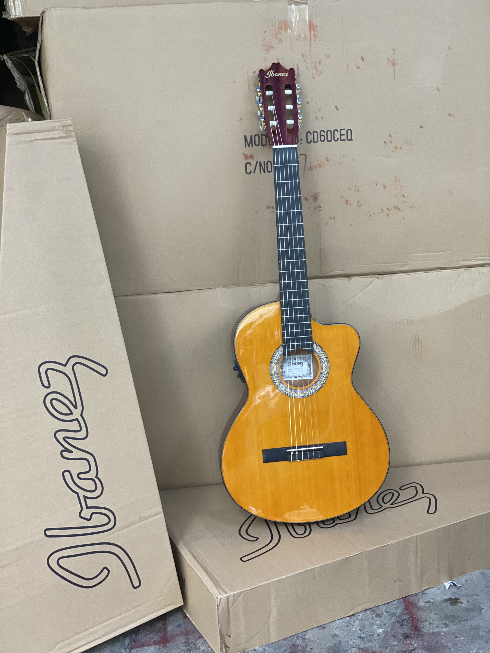 Đàn guitar Ibanez classic EQ GA5TCE