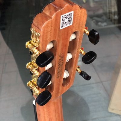 Guitar Flamenco JX-10G có EQ