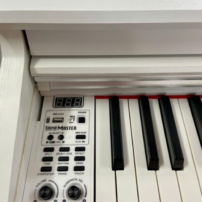 Đàn Piano Điện Saiger SDP-2889 88 Phím Nặng Bluetooth